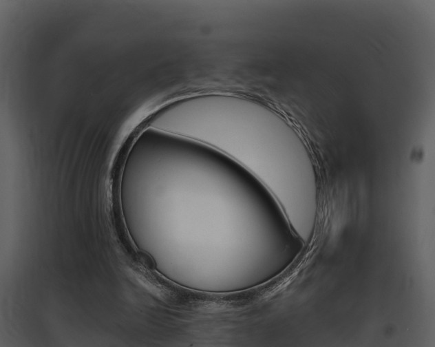 X0000097850246200803140903