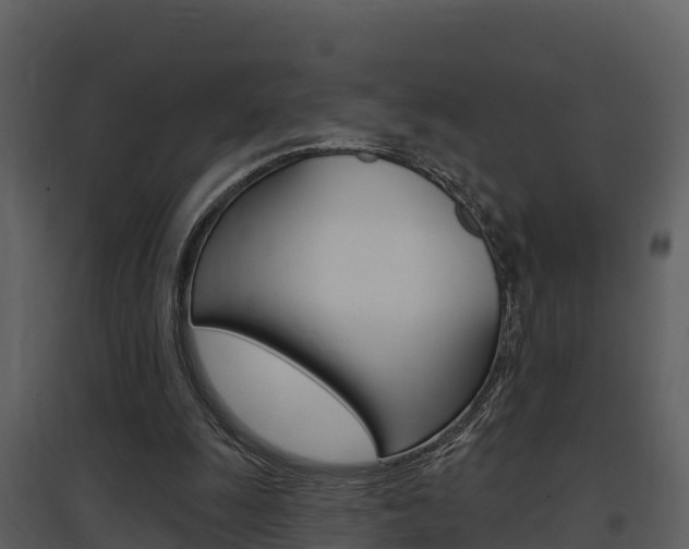 X0000097850247200803140903