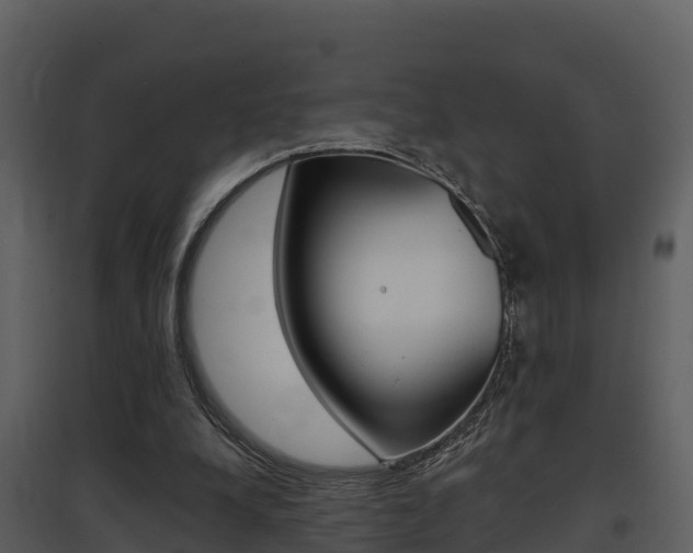 X0000097850248200803140903