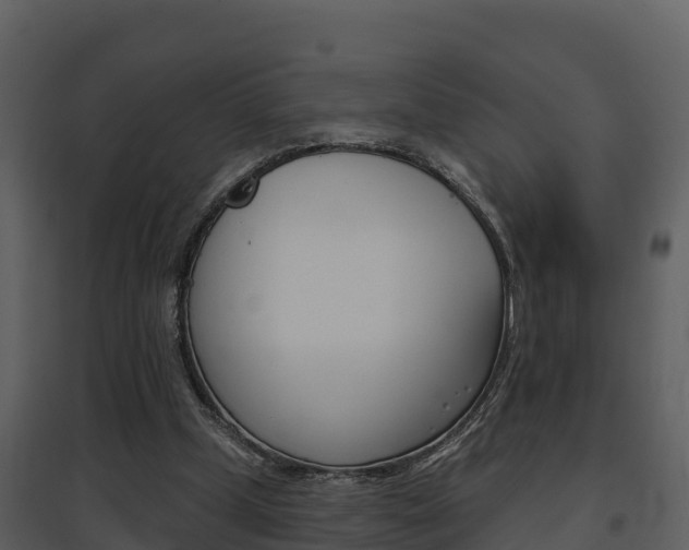 X0000097850249200803140903