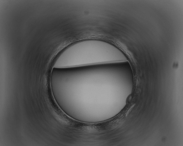 X0000097850250200803140903