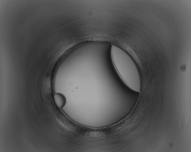 X0000097850251200803140903