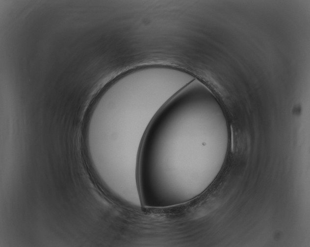 X0000097850252200803140903