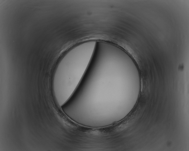 X0000097850253200803140903