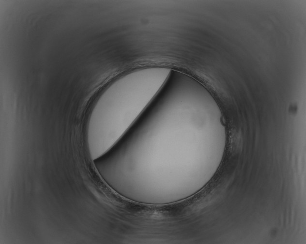 X0000097850254200803140903