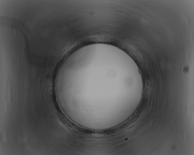 X0000097850255200803140903