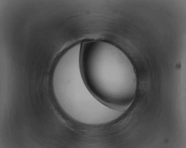X0000097850256200803140903