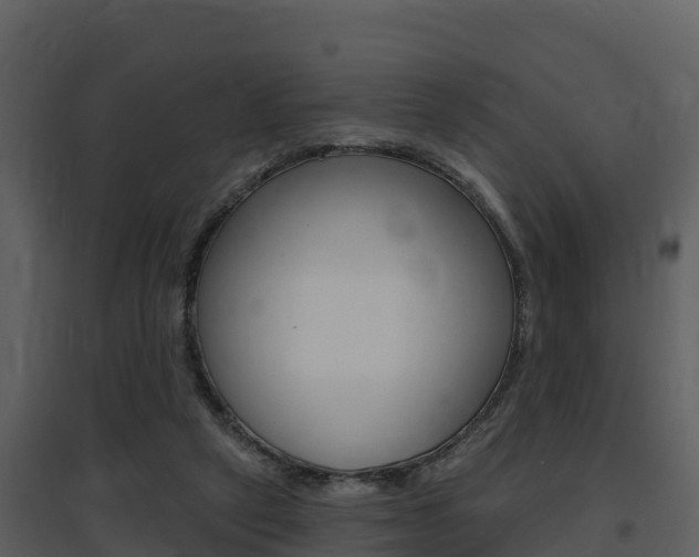 X0000097850257200803140903