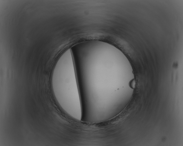 X0000097850258200803140903