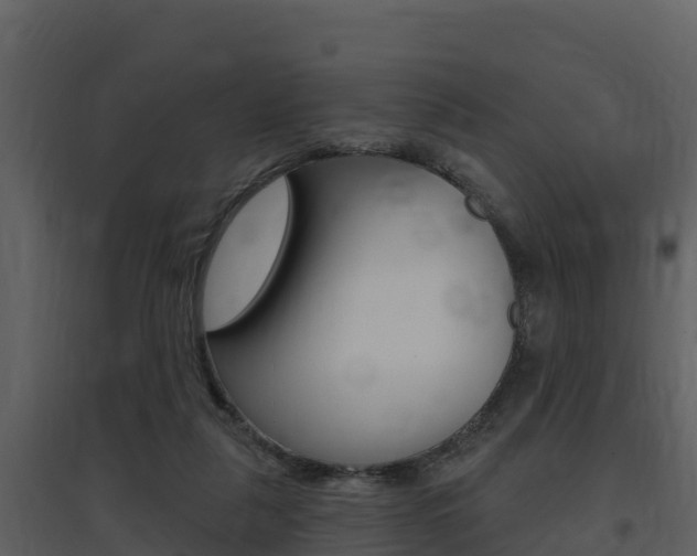 X0000097850259200803140903
