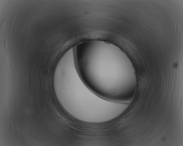 X0000097850260200803140903
