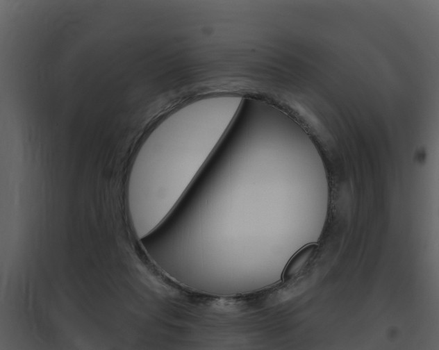 X0000097850261200803140903