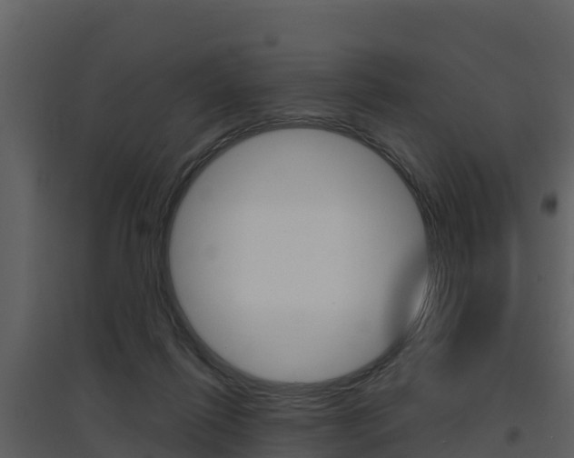 X0000097850262200803140903