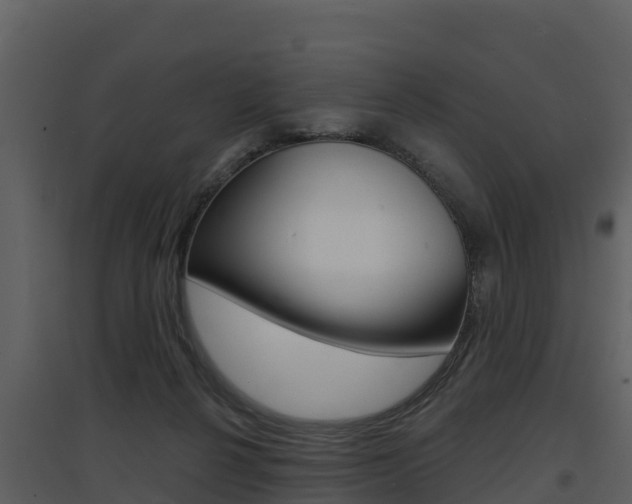 X0000097850264200803140903