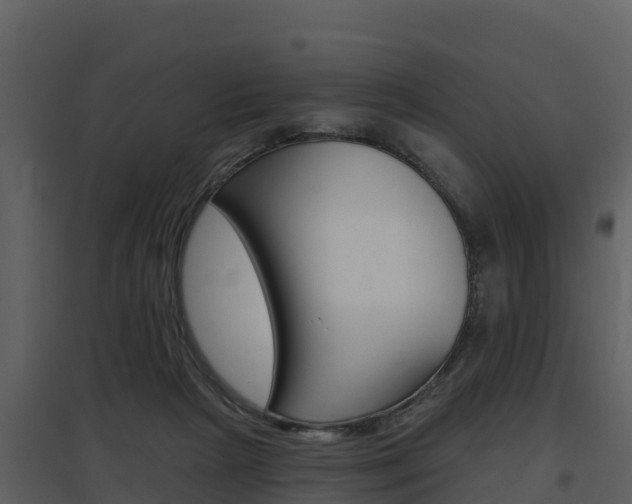X0000097850265200803140904