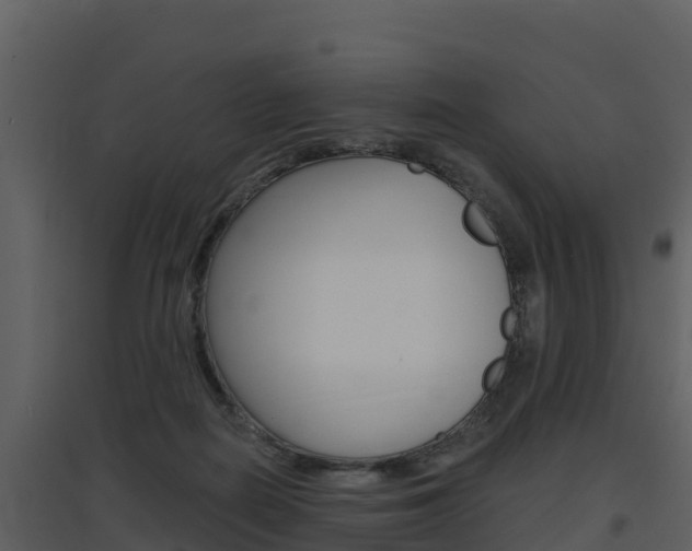 X0000097850266200803140904
