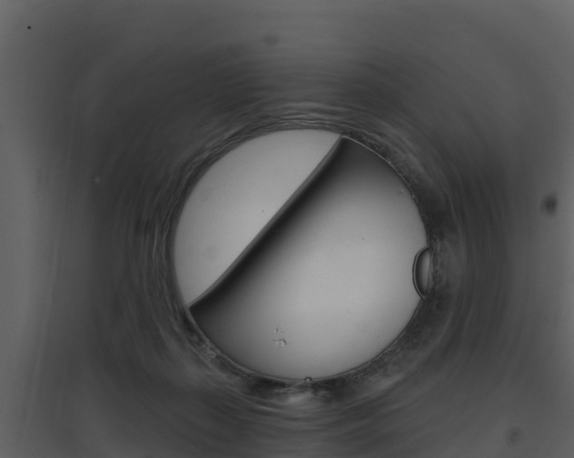 X0000097850267200803140904