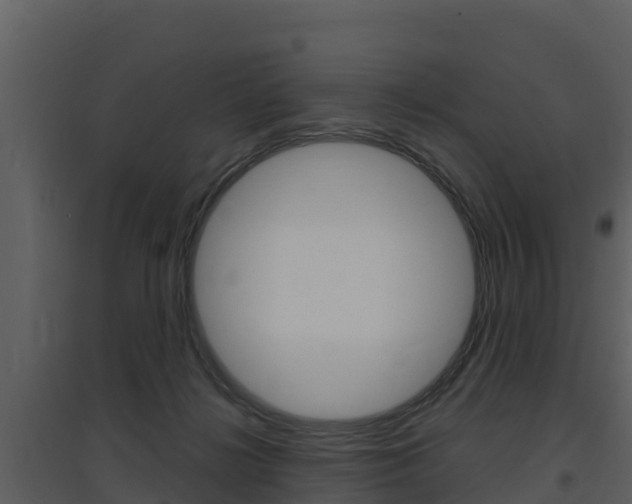X0000097850268200803140904
