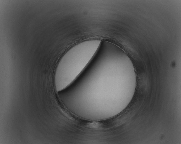 X0000097850269200803140904