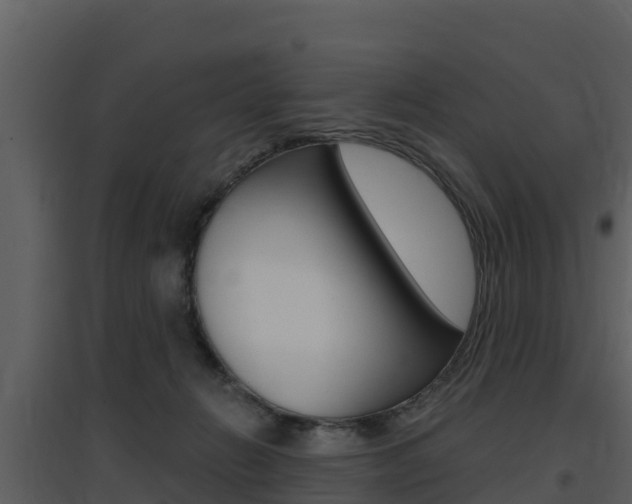 X0000097850270200803140904