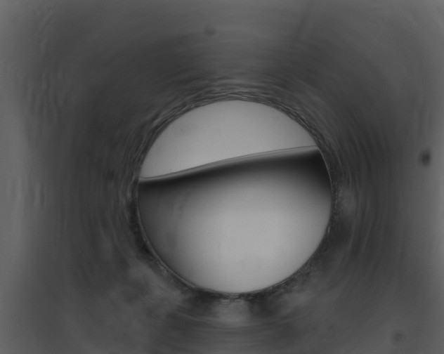 X0000097850271200803140904
