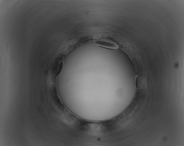 X0000097850272200803140904