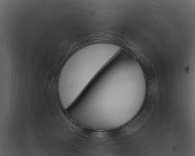 X0000097850273200803140904