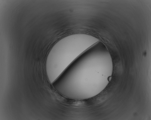 X0000097850274200803140904