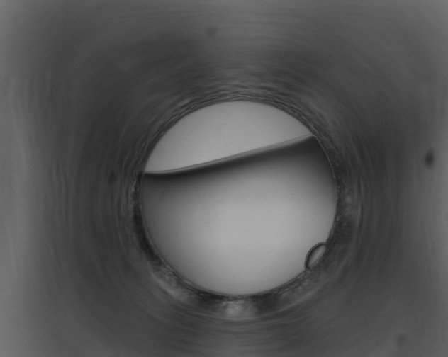 X0000097850275200803140904