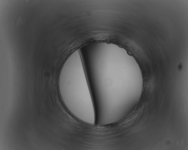 X0000097850277200803140904