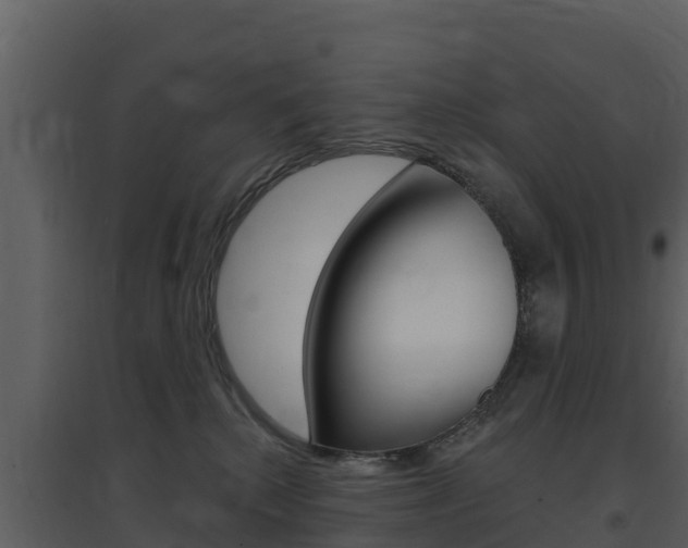 X0000097850280200803140904