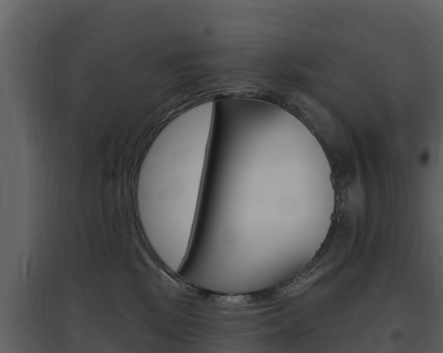 X0000097850281200803140904