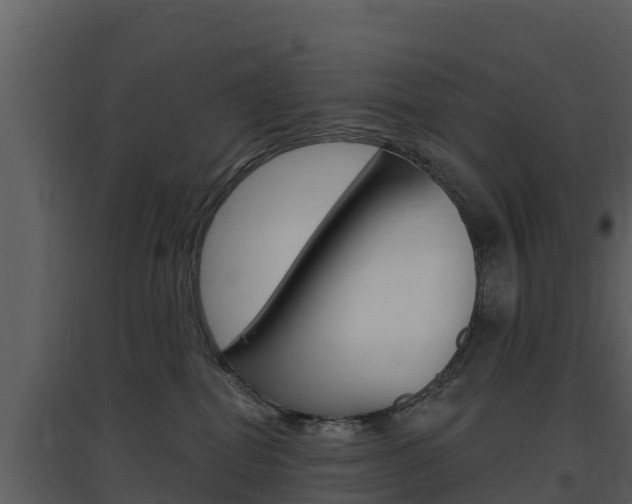 X0000097850282200803140904
