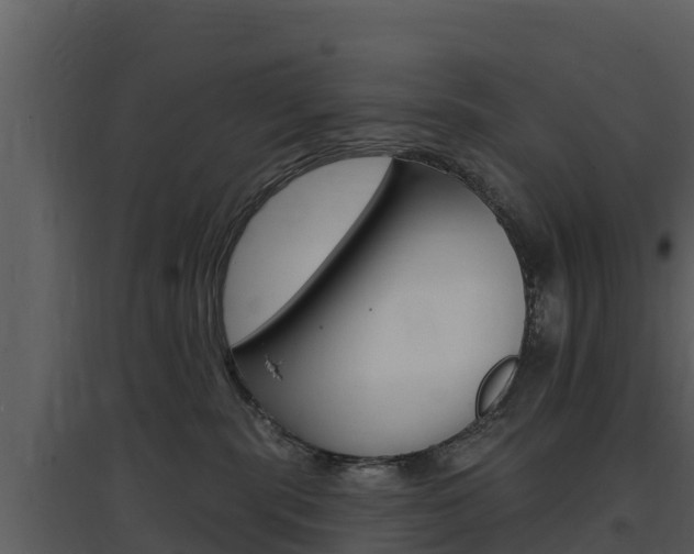 X0000097850283200803140904