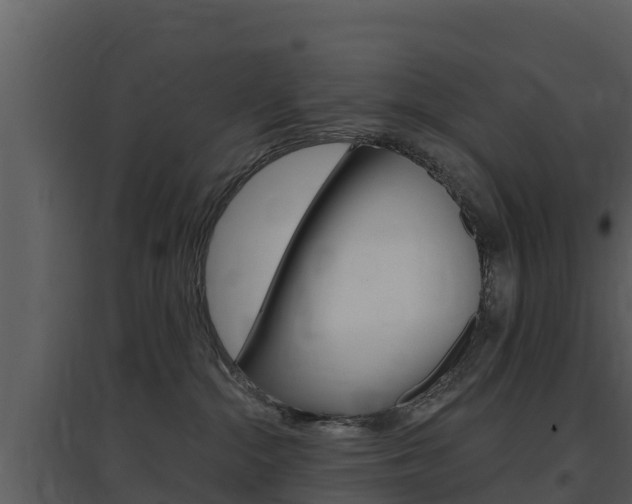 X0000097850284200803140904
