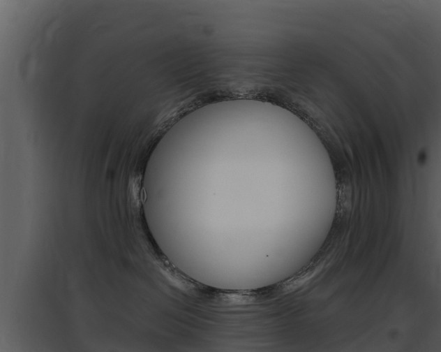 X0000097850286200803140904
