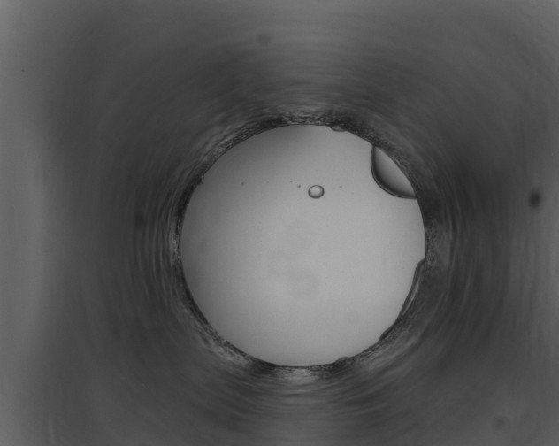 X0000097850287200803140904