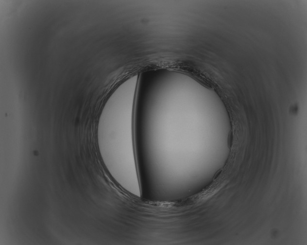 X0000097850288200803140904