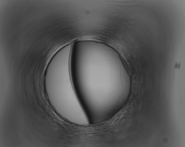 X0000097850289200803140903