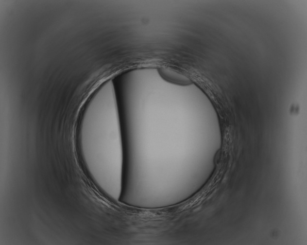 X0000097850290200803140903