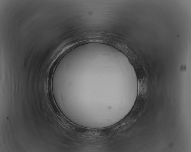 X0000097850291200803140903
