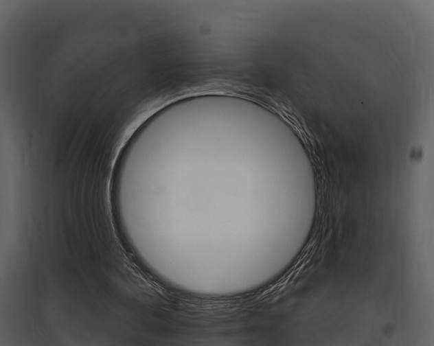 X0000097850292200803140903