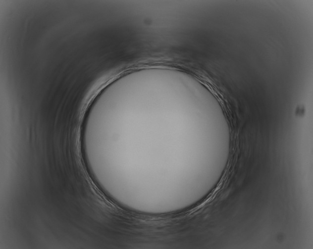 X0000097850293200803140903