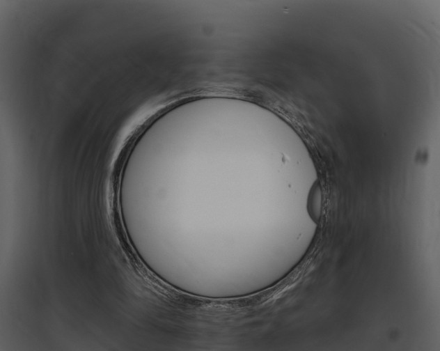 X0000097850294200803140903