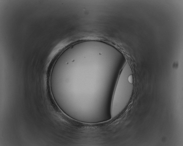 X0000097850296200803140903