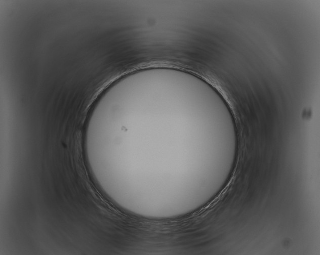 X0000097850297200803140903