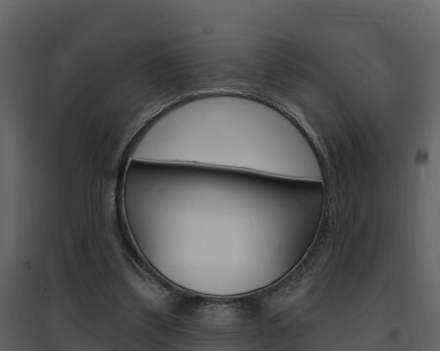 X0000097850299200803140903