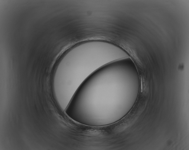 X0000097850300200803140903