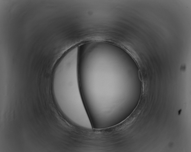 X0000097850301200803140903