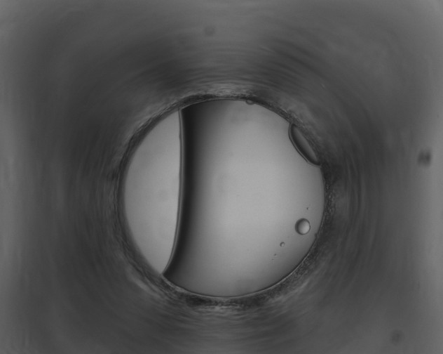 X0000097850303200803140903